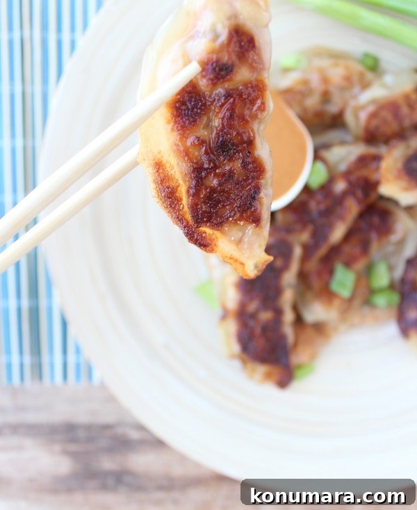Homemade Thai Peanut Chicken Potstickers 3 Thai Peanut Chicken Pot Stickers