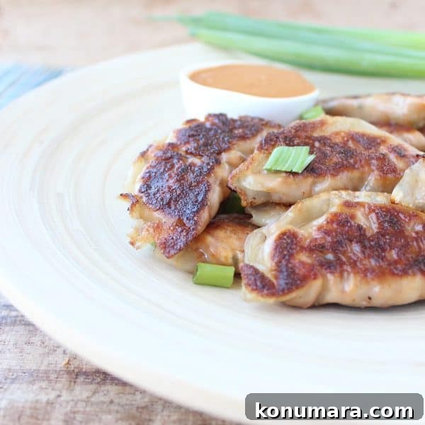 Homemade Thai Peanut Chicken Potstickers 4 Thai Peanut Chicken Pot Stickers