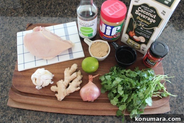 Homemade Thai Peanut Chicken Potstickers 5 Thai Peanut Chicken Pot Stickers Ingredients