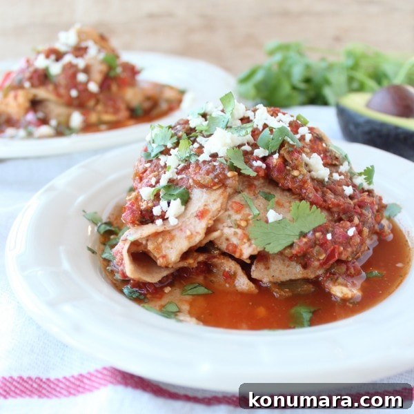 Slow Cooker Chicken Fajita Tortilla Lasagna 8 Crock Pot Chicken Fajita Tortilla Lasagna