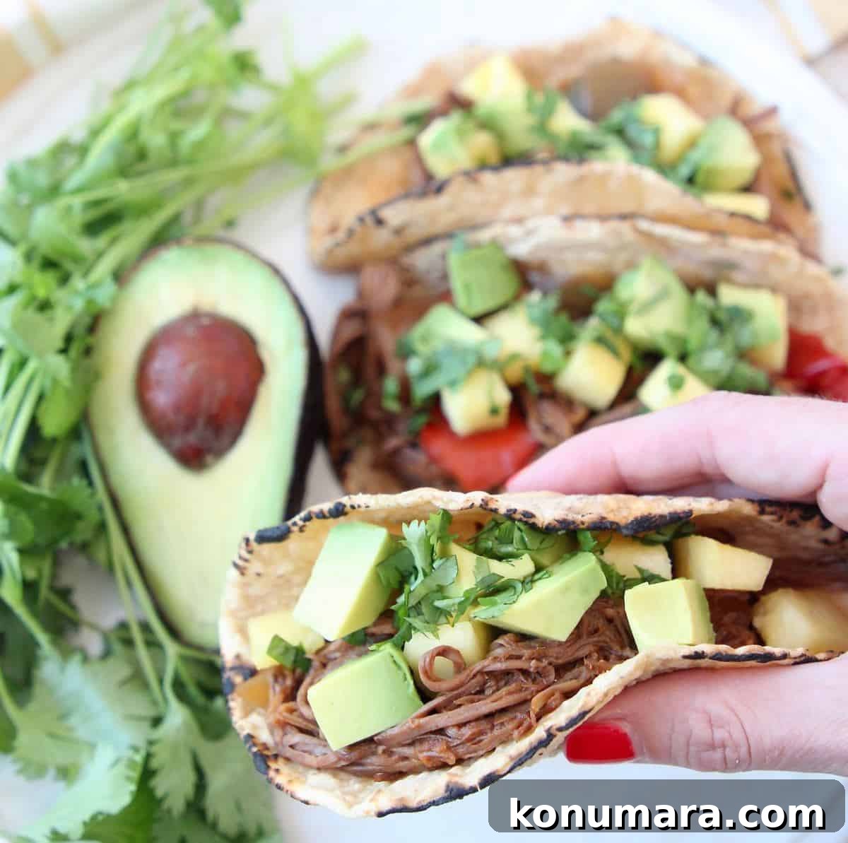 Hand holding taco with shredded tri tip, topped with diced avocado and pineapple