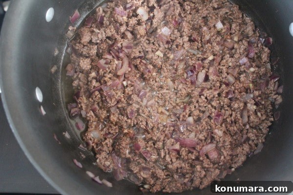 One-Pot Beef and Macaroni Recipe 4 cooked ground beef and diced onions in a pot on the stove
