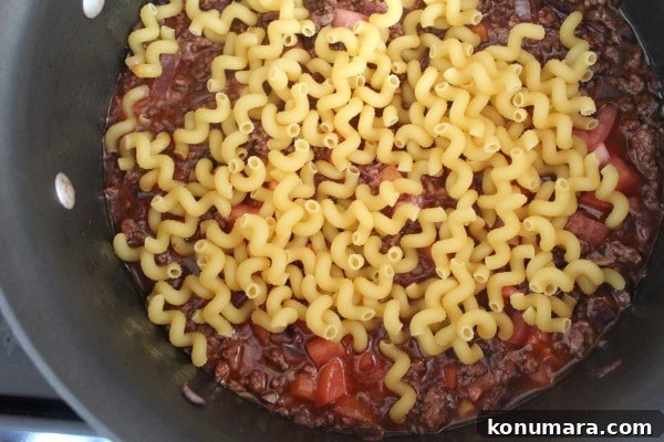 One-Pot Beef and Macaroni Recipe 6 pasta noodles on top of ground beef and diced tomatoes in a pot on the stove