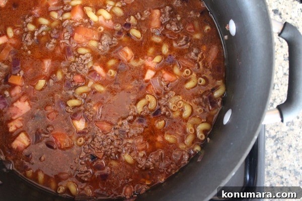 One-Pot Beef and Macaroni Recipe 7 ground beef and macaroni noodles with diced tomatoes and broth in a pot on the stove