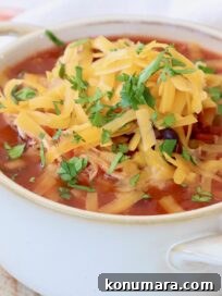 chicken enchilada soup