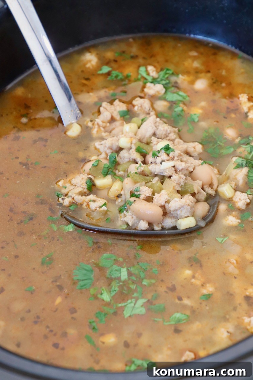 white chicken chili in Crock Pot with ladle of chili