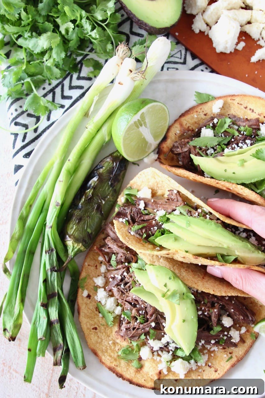 Authentic Slow-Cooked Beef Barbacoa Recipe 6 Slow Cooker Beef Barbacoa Tacos on Corn Tortillas with Sliced Avocado and Cotija Cheese