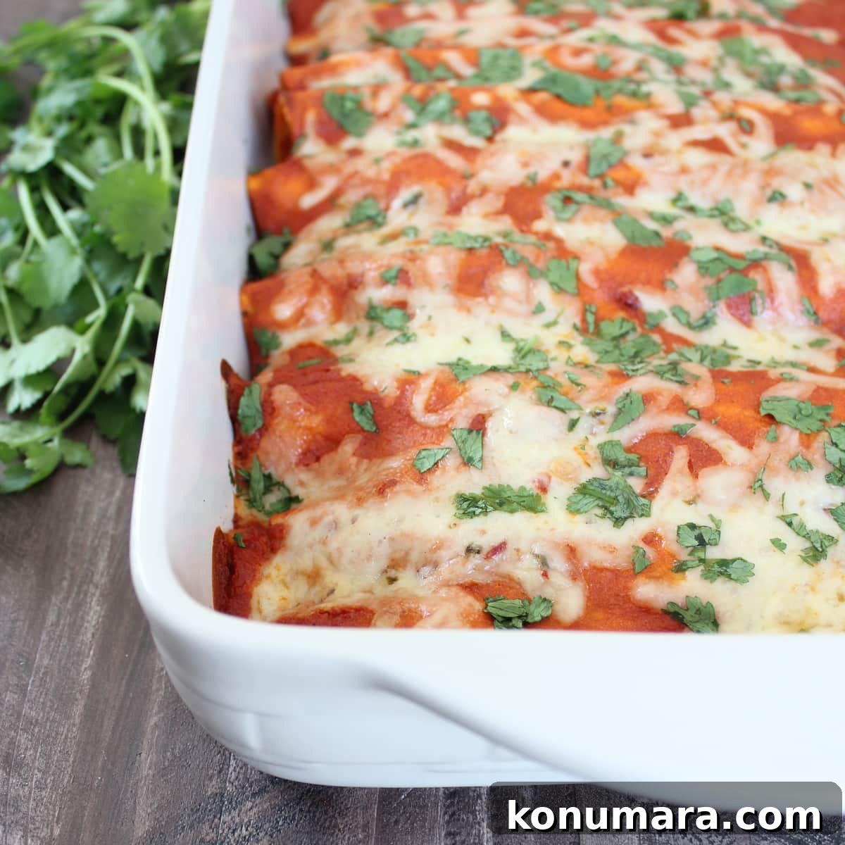 enchiladas in a baking dish topped with fresh cilantro