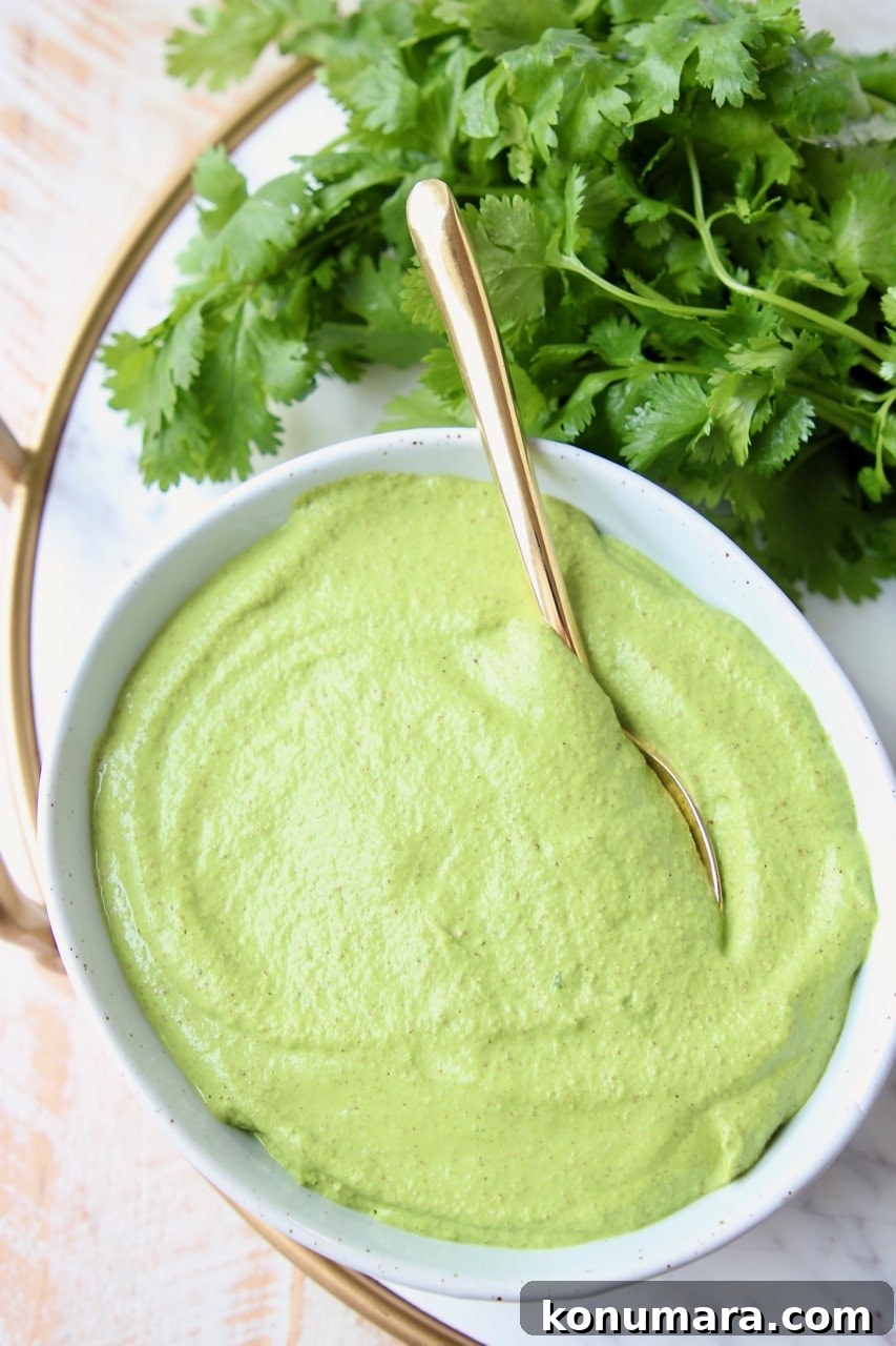 Homemade Cilantro Pesto Recipe 2 Cilantro pesto in bowl with spoon
