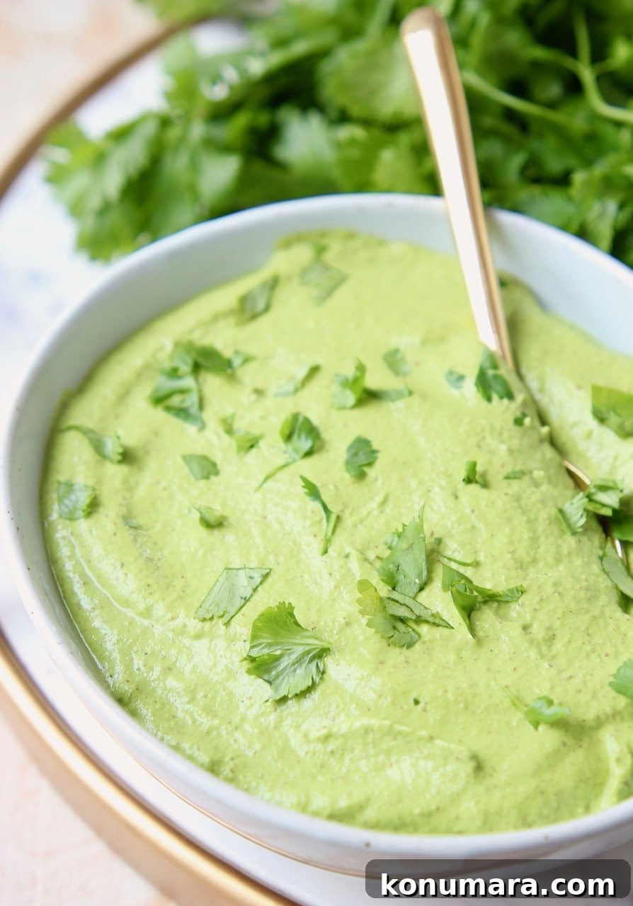 Homemade Cilantro Pesto Recipe 3 Cilantro lime pesto in bowl with gold spoon
