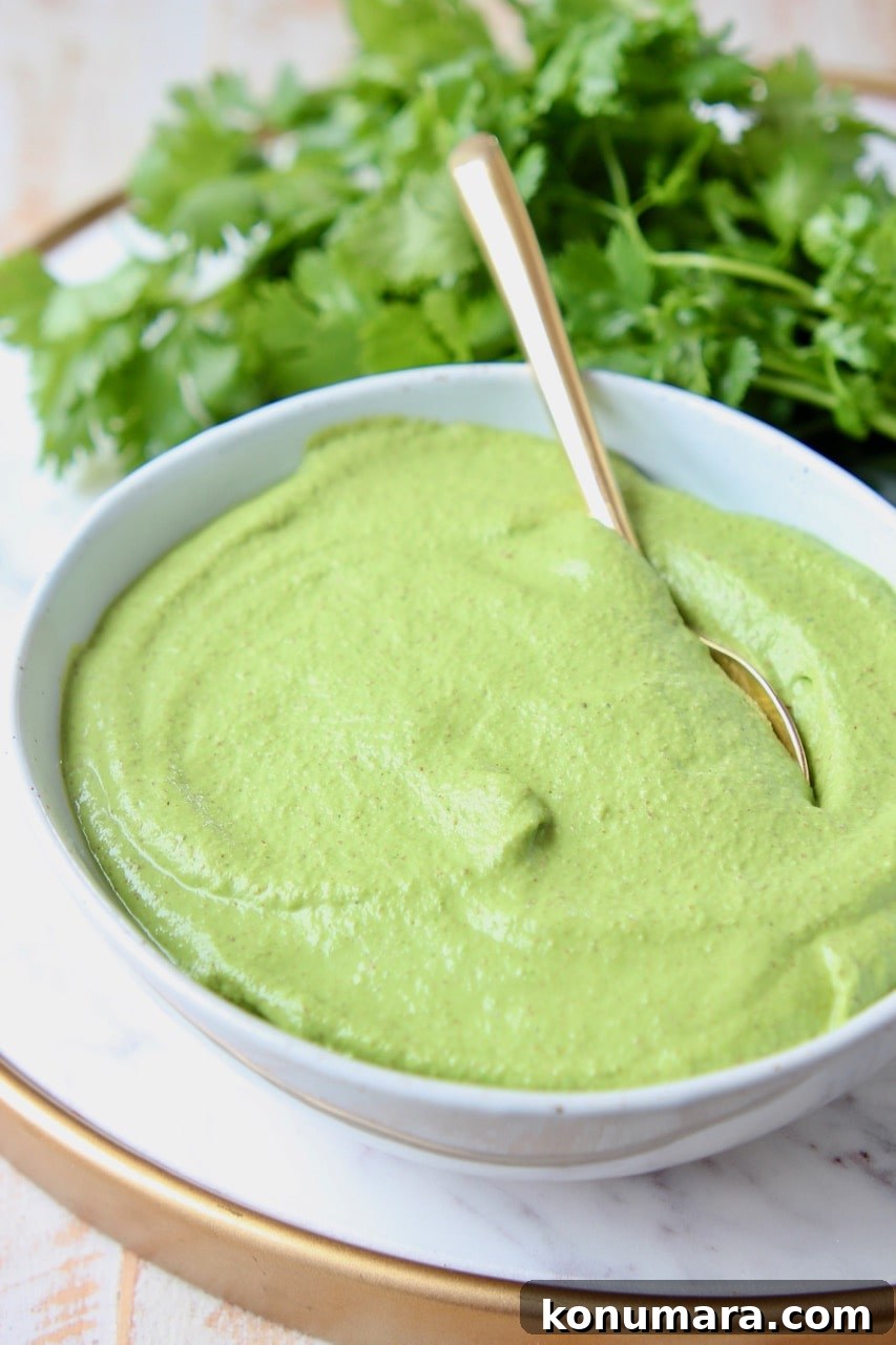 Homemade Cilantro Pesto Recipe 4 Vegan cilantro pesto in bowl with fresh cilantro in background