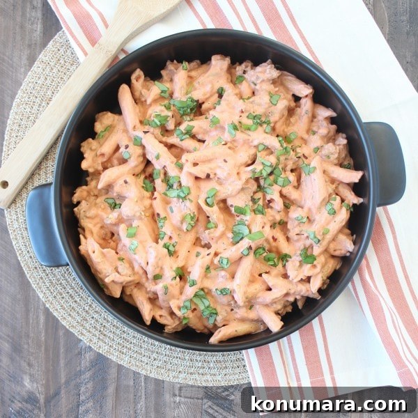 Penne with Italian Sausage in Four Cheese Tomato Sauce 6 Italian Sausage & Four Cheese Penne Pasta