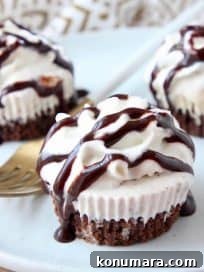 Mini Ice Cream Cakes