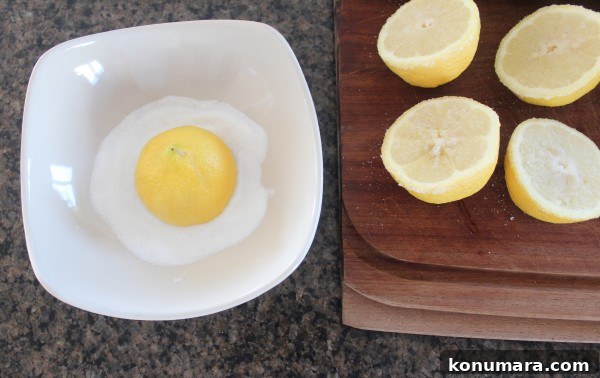 Grilled Strawberry Lemonade Recipe 4 Grilled Strawberry Lemonade Recipe