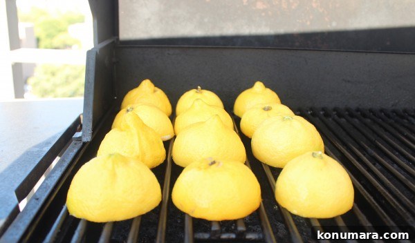 Grilled Strawberry Lemonade Recipe 5 Grilled Strawberry Lemonade Recipe