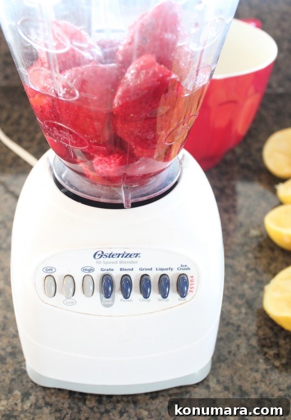 Grilled Strawberry Lemonade Recipe 6 Grilled Strawberry Lemonade Recipe