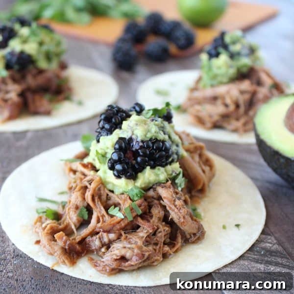 Blackberry Jalapeno Pulled Pork Tacos
