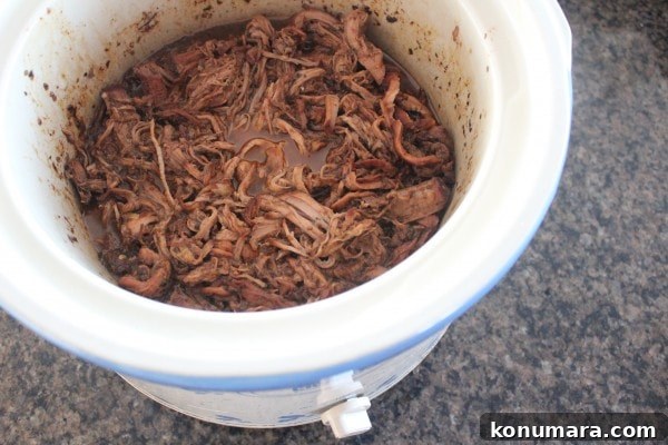 Slow Cooked Blackberry Jalapeño Pulled Pork Recipe