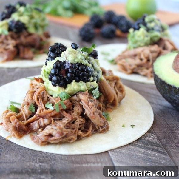 Slow Cooked Blackberry Jalapeno Pulled Pork Taco Recipe
