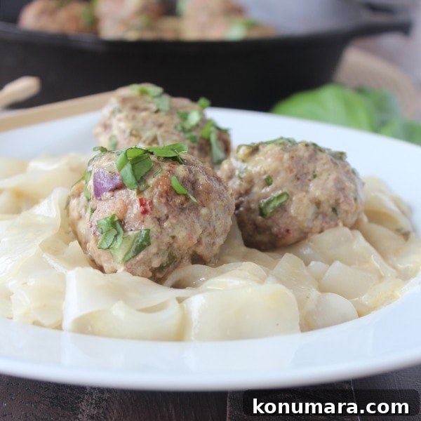 Thai Green Curry Lamb Meatballs 3 Asian Lamb Meatballs in Green Curry Sauce