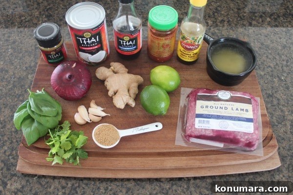Thai Green Curry Lamb Meatballs 5 Asian Lamb Meatballs in Green Curry Sauce Ingredients