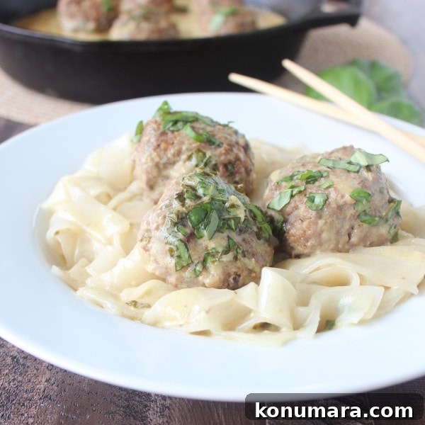 Thai Green Curry Lamb Meatballs 10 Asian Meatballs in Thai Green Curry Sauce