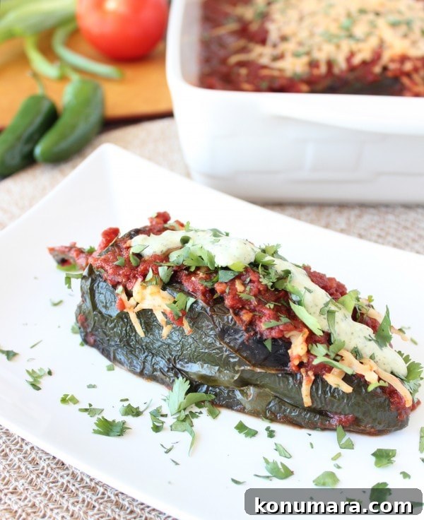 Gluten-Free Stuffed Poblano Enchiladas Recipe 2 Gluten Free Stuffed Poblano Enchiladas