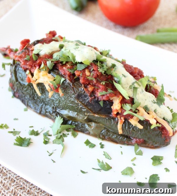 Gluten-Free Stuffed Poblano Enchiladas Recipe 8 Ground Beef Stuffed Poblano Pepper Enchiladas