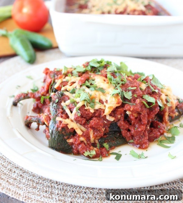 Gluten-Free Stuffed Poblano Enchiladas Recipe 3 Gluten Free Poblano Enchiladas