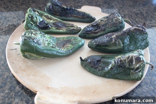 Gluten-Free Stuffed Poblano Enchiladas Recipe 5 Stuffed Roasted Poblano Enchilada Recipe