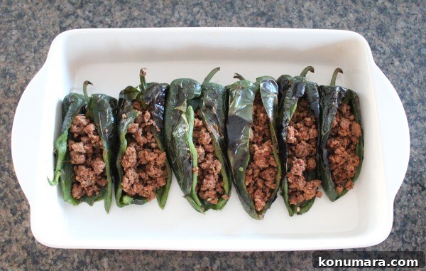 Gluten-Free Stuffed Poblano Enchiladas Recipe 7 Gluten Free Stuffed Poblano Enchiladas Recipe