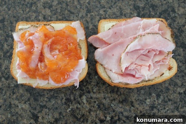 Apricot-Glazed Ham and Melted Cheese Sandwich Recipe 7 Apricot Ham and Cheese Sandwich Recipe