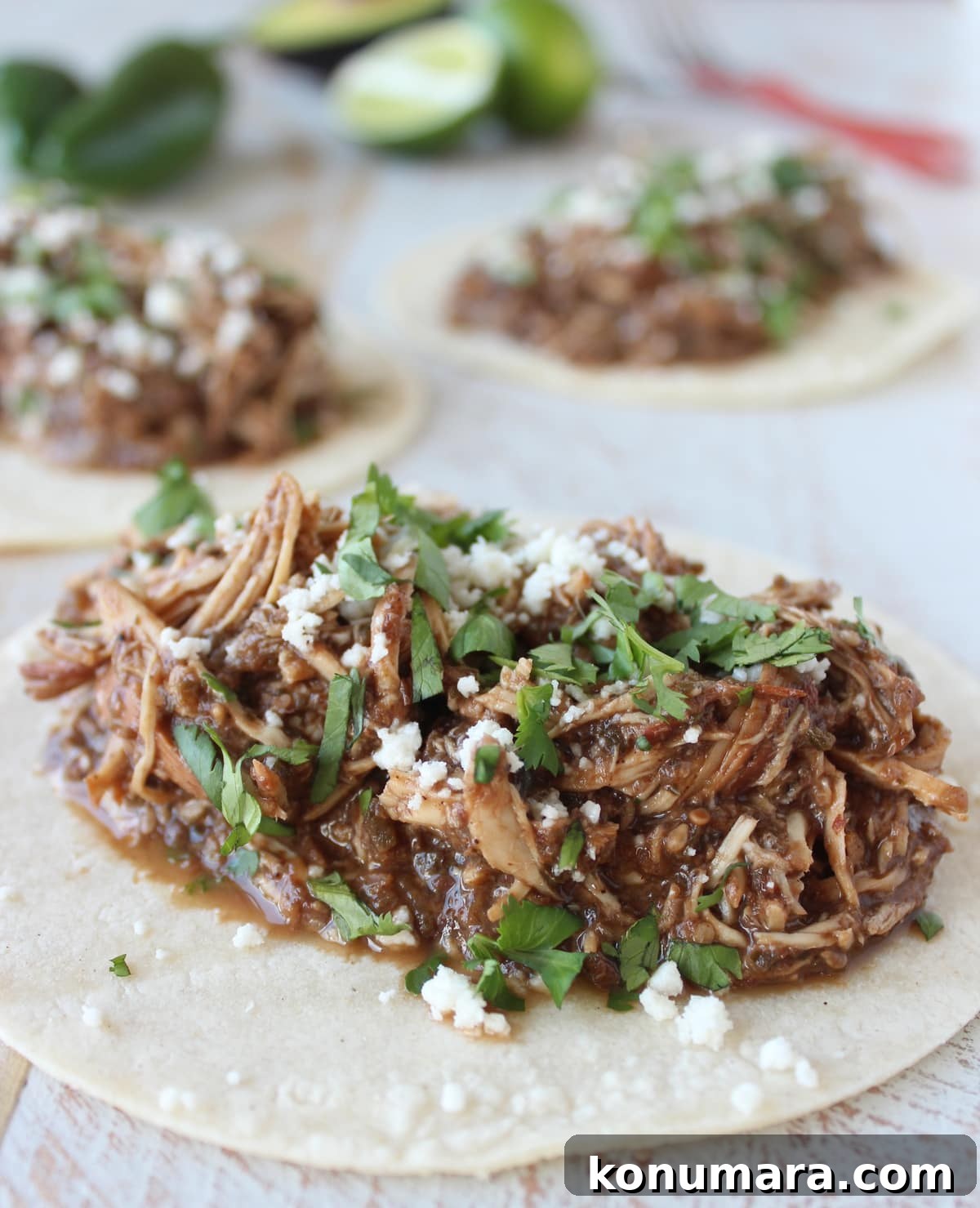 shredded chicken in mole sauce on a tortilla topped with cilantro