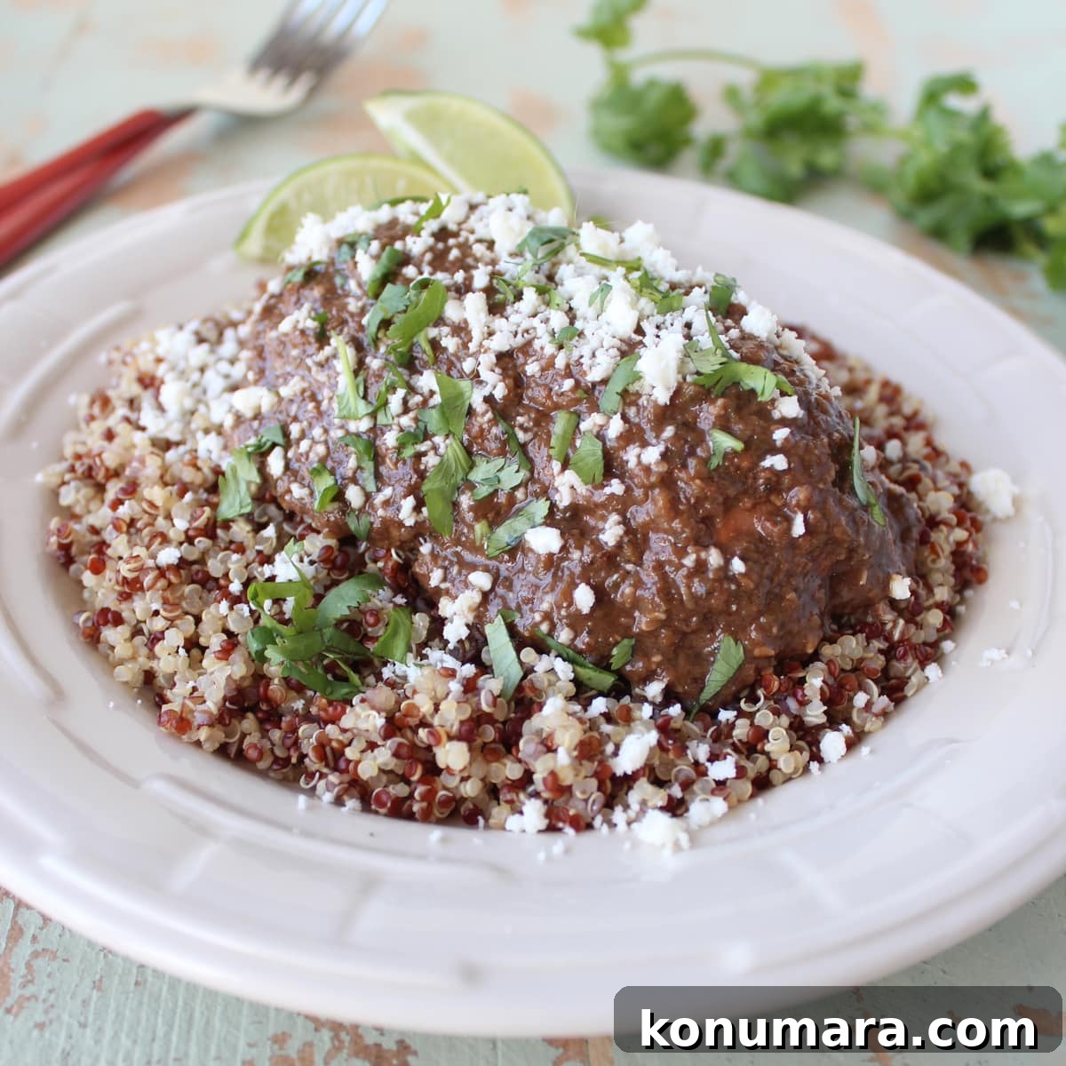Slow Cooker Chicken Mole Recipe