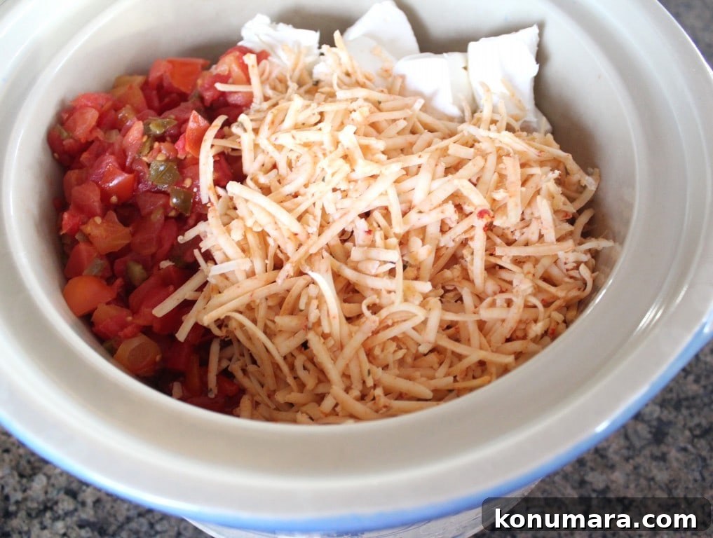 cheese and canned diced tomatoes with green chilies in slow cooker