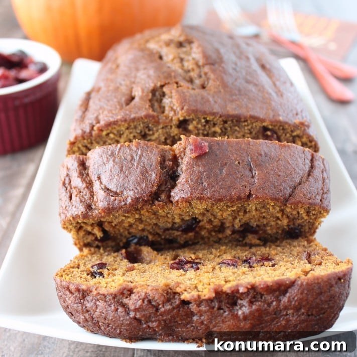 Cranberry Pumpkin Bread Recipe 7 Cranberry Pumpkin Bread Recipe