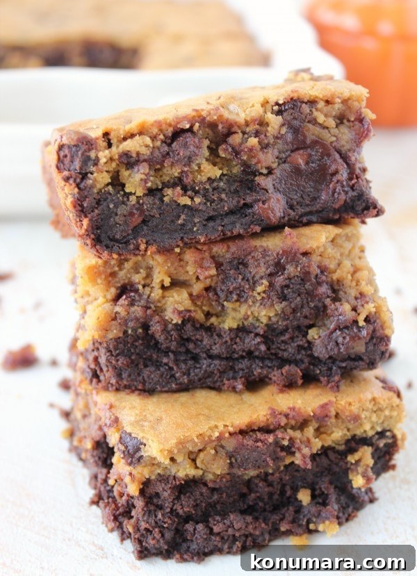 Pumpkin Brookies Recipe: Chocolate Brownie-Pumpkin Bars 2 Pumpkin Brookies Recipe
