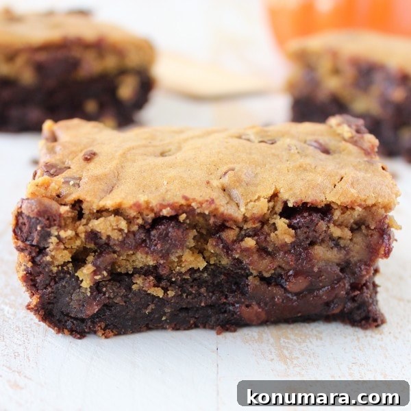 Pumpkin Brookies Recipe: Chocolate Brownie-Pumpkin Bars 3 Pumpkin Brownie Cookies Recipe