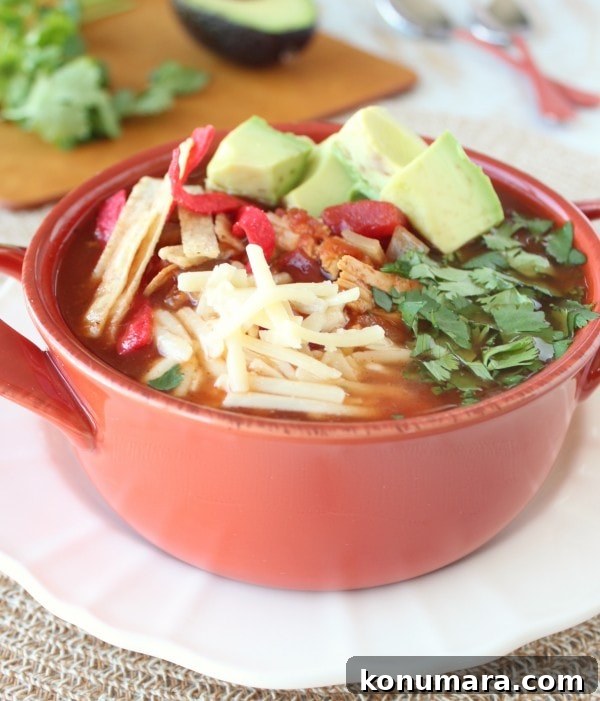 Slow Cooker Chipotle Chicken Tortilla Soup Recipe