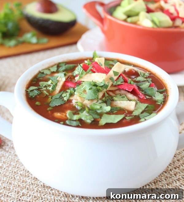 Chipotle Chicken Tortilla Soup Recipe