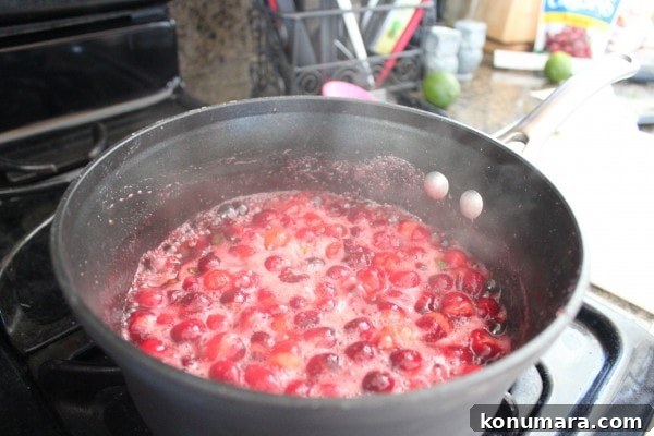 Cranberry Jalapeno Relish Recipe