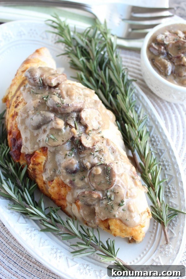 Roasted Turkey Breast with Blue Cheese and Mushroom Gravy 3 Roasted Turkey Breast with Blue Cheese Mushroom Gravy Recipe