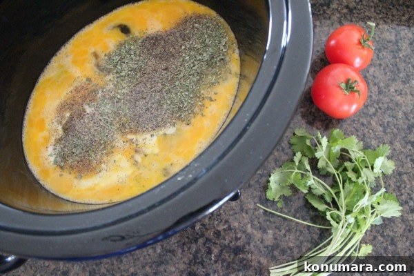 Slow Cooker Mexican Breakfast Casserole 6 Slow Cooker Mexican Egg Casserole Recipe