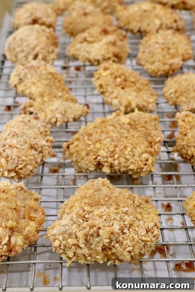 cooked breaded pieces of chicken on a wire rack on top of a baking sheet