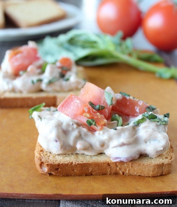Bruschetta Cheese Dip Recipe with Tomato and Basil 2 Bruschetta Cheese Dip Recipe