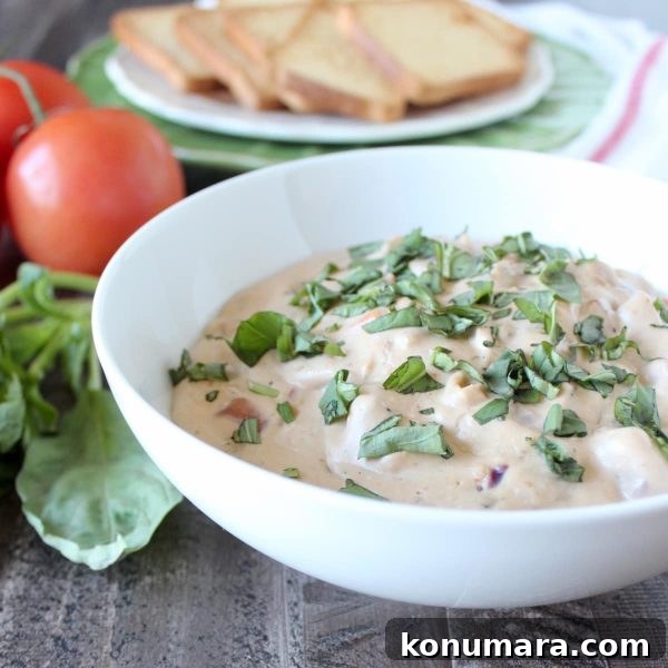 Bruschetta Cheese Dip Recipe with Tomato and Basil 3 Bruschetta Cheese Dip Recipe