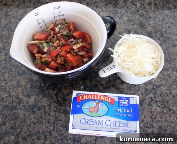 Bruschetta Cheese Dip Recipe with Tomato and Basil 4 Bruschetta Cheese Dip Recipe Ingredients