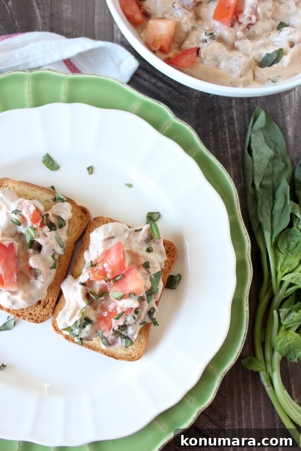 Bruschetta Cheese Dip Recipe with Tomato and Basil 5 Bruschetta Cheese Dip Recipe
