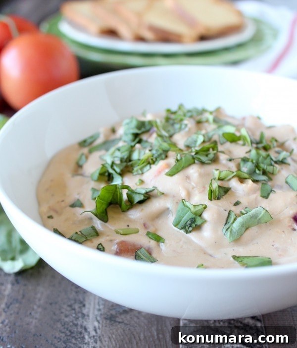 Bruschetta Cheese Dip Recipe with Tomato and Basil 6 Bruschetta Cheese Dip Recipe