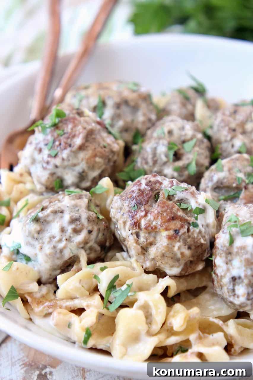 Slow Cooker Swedish Meatballs Recipe with Creamy Gravy 4 Swedish meatballs and cooked egg noodles in bowl